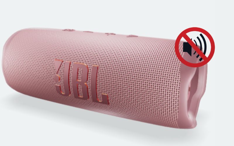 Nhạc không phát trên loa bluetooth