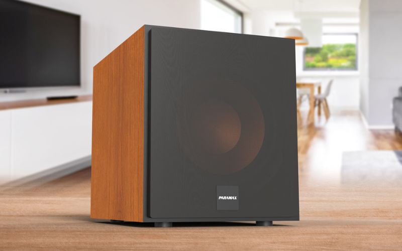 Loa Siêu Trầm Điện 12-inch Paramx Sub-E30