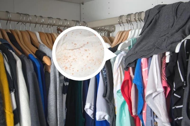Cất quần áo bẩn cùng quần áo sạch khiến tủ có mùi