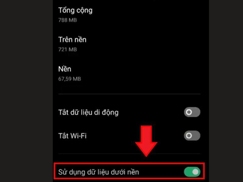 Mục “Sử dụng dữ liệu xuống nền”,